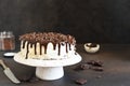 Chocolate truffle cake with cream cheese Royalty Free Stock Photo