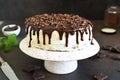 Chocolate truffle cake with cream cheese Royalty Free Stock Photo