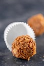 Chocolate truffle candy balls with dry dressing. Hand-made candy on a dark background macro