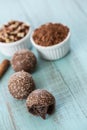 Chocolate Truffle Candy with Cocoa Powder and Nuts Royalty Free Stock Photo
