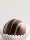 Chocolate Truffle in a Petit four Case Royalty Free Stock Photo