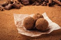 Chocolate truffle,Truffle chocolate candies with cocoa powder.Homemade fresh energy balls with chocolate.Gourmet assorted truffle Royalty Free Stock Photo