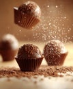 Chocolate Truffles With Cocoa Dust. Royalty Free Stock Photo