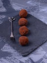 Chocolate truffles with cocoa powder Royalty Free Stock Photo