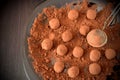 Chocolate truffles covered with cacao powder Royalty Free Stock Photo