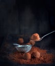 Chocolate truffles. Homemade truffle chocolate candies with cocoa powder Royalty Free Stock Photo