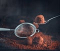 Chocolate truffles. Homemade fresh truffle dark chocolate candies with cocoa powder made by chocolatier Royalty Free Stock Photo