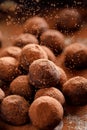 Chocolate truffles sprinkled with cocoa powder, close up view Royalty Free Stock Photo