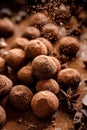 Chocolate truffles sprinkled with cocoa powder,  close up view. Royalty Free Stock Photo