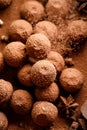 Chocolate truffles sprinkled with cocoa powder,  close up view. Royalty Free Stock Photo