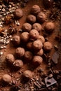 Chocolate truffles sprinkled with cocoa powder,  top view. Royalty Free Stock Photo