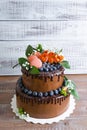 Chocolate two layered wedding cake with roses Royalty Free Stock Photo