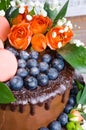 Chocolate two layered wedding cake with roses Royalty Free Stock Photo