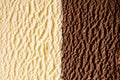 Chocolate and vanilla bourbon ice creams Royalty Free Stock Photo