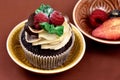 Chocolate vanilla cupcake with raspberries still life stock images Royalty Free Stock Photo