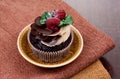 Chocolate vanilla cupcake with raspberries still life stock images Royalty Free Stock Photo