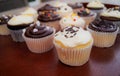 Chocolate and Vanilla Cupcakes Closeup Royalty Free Stock Photo