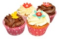 Chocolate And Vanilla Cupcakes Royalty Free Stock Photo