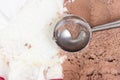 Chocolate and vanilla ice cream in the crystal bowl Royalty Free Stock Photo