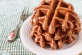 Chocolate waffle. Royalty Free Stock Photo