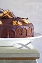 Chocolate walnut cake with chocolate glazing Royalty Free Stock Photo