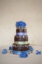 Chocolate wedding cake