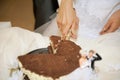 Chocolate Wedding Cake Royalty Free Stock Photo