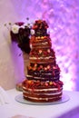 Chocolate wedding cake decorated with fruits Royalty Free Stock Photo