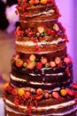 Chocolate wedding cake decorated with fruits Royalty Free Stock Photo