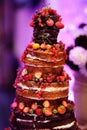 Chocolate wedding cake decorated with fruits Royalty Free Stock Photo