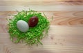 Chocolate and white egg in green nest Royalty Free Stock Photo