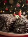 Chocolate Yule Log Royalty Free Stock Photo