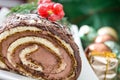 Chocolate yule log christmas cake with red currant Royalty Free Stock Photo