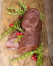 Chocolate Yule log with cranberries Royalty Free Stock Photo