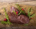Chocolate Yule log with cranberries Royalty Free Stock Photo