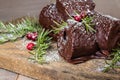 Chocolate Yule log with cranberries Royalty Free Stock Photo