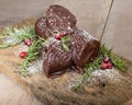 Chocolate Yule log with cranberries Royalty Free Stock Photo