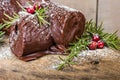 Chocolate Yule log with cranberries Royalty Free Stock Photo