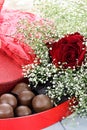 Chocolates and Beauitful Roses