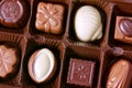 Chocolates closeup Royalty Free Stock Photo