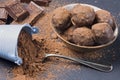 Chocolates, Cocoa Powder and pieces of chocolate