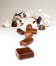 Chocolates Royalty Free Stock Photo