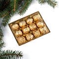 Chocolates truffles with Christmas tree twig Royalty Free Stock Photo