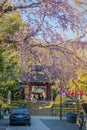 Chofu Jindaiji of Sakura and city