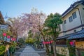 Chofu Jindaiji of Sakura and city