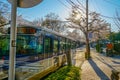 Chofu Jindaiji of Sakura and city