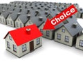 Choice house Royalty Free Stock Photo
