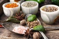 Choice Indian spice Royalty Free Stock Photo