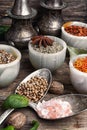 Choice Indian spice Royalty Free Stock Photo