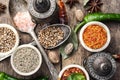 Choice Indian spice Royalty Free Stock Photo